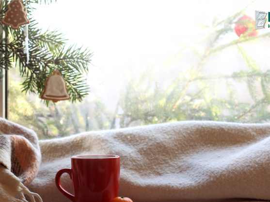 Stay Cozy and Save, How Energy Efficient Windows Can Reduce Winter Heating Costs