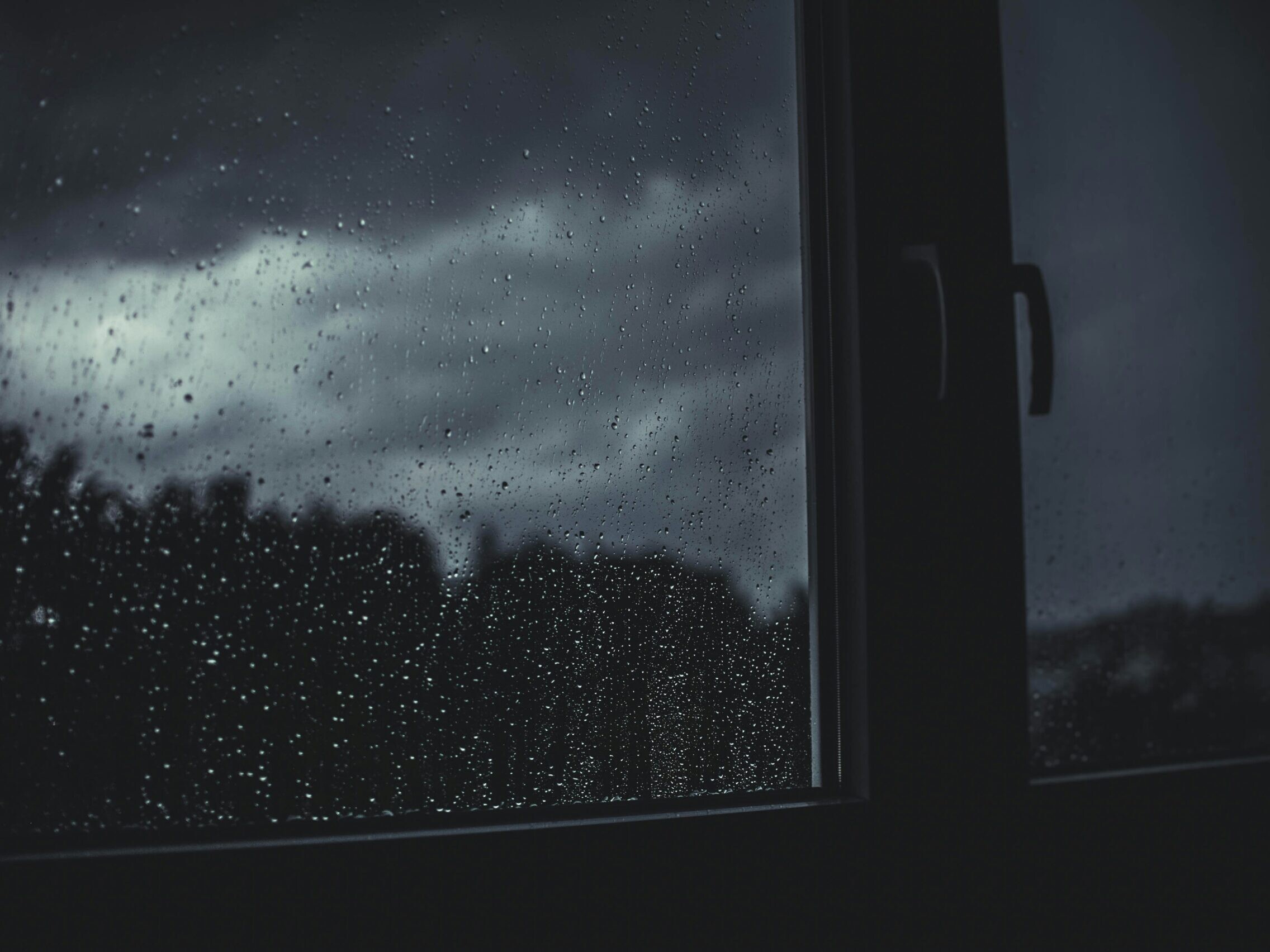Raindrops on a window pane with dark evergreen trees silhouetted against a cloudy gray sky
